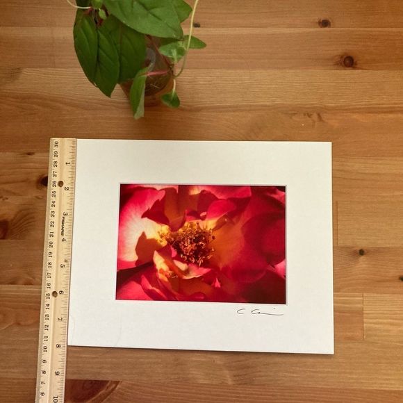 New Original Signed Photography - Picture 5 of 5